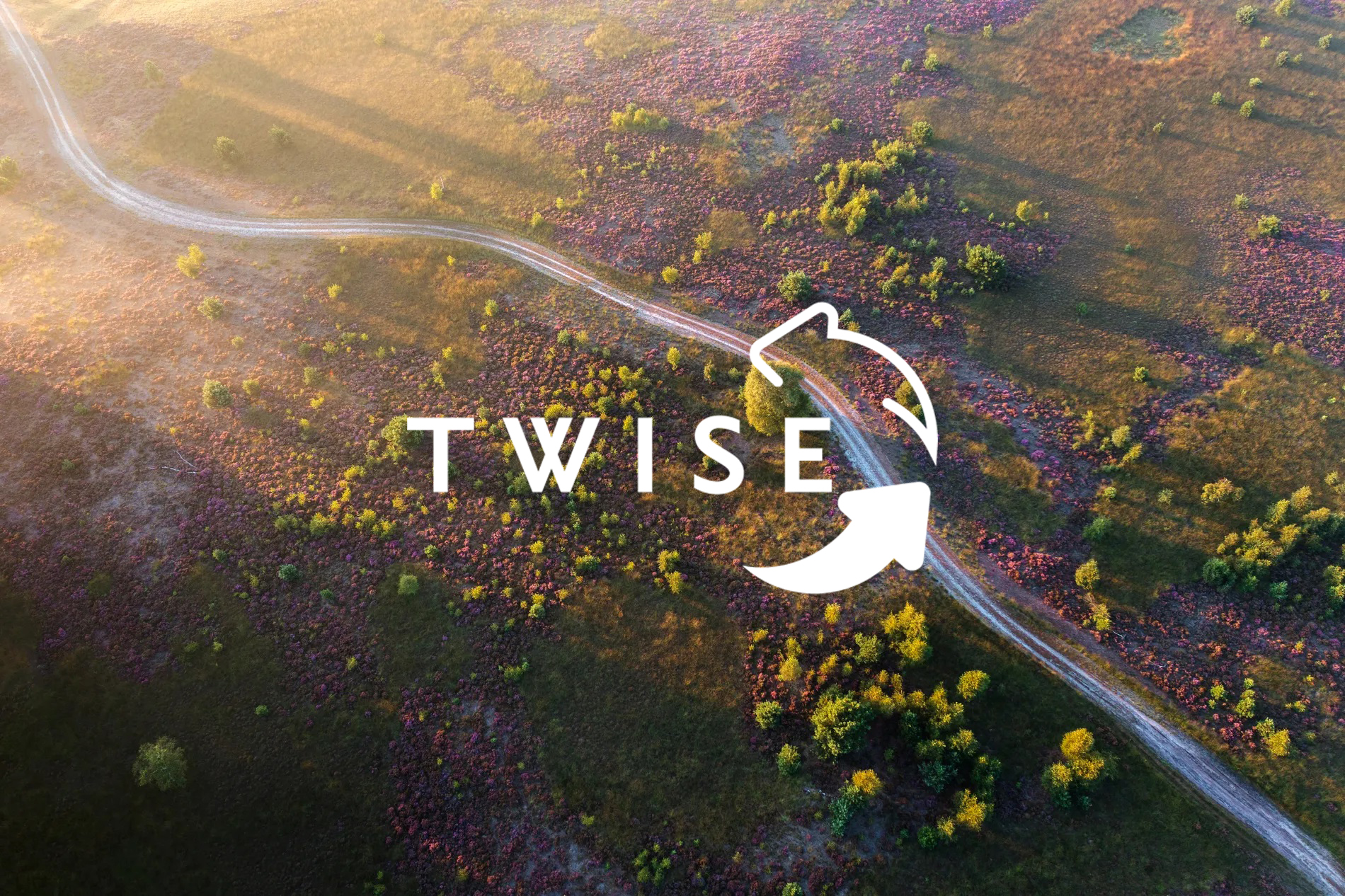 Twise